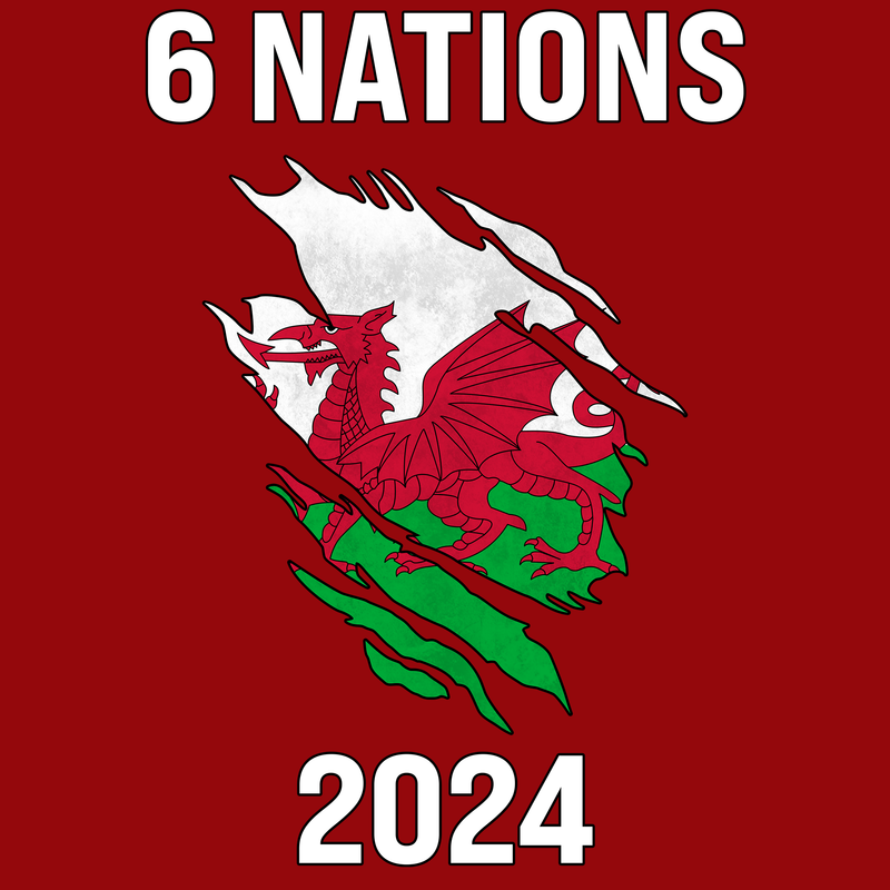 6 Nations 2024 Wales Unisex T Shirt