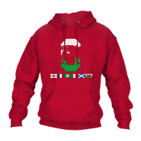 6 Nations Rugby Flags (Wales) Unisex Hoodie