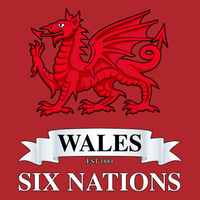 Wales 6 Nations Unisex T Shirt